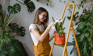 6 thứ rẻ tiền nhưng đem lại cảm giác hạnh phúc ngay lập tức khi bước chân vào nhà