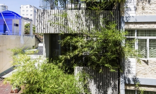 Ngôi nhà phố nhìn đã thấy tan sạch mệt mỏi, bon chen nhờ tre xanh phủ dọc 6 tầng nhà