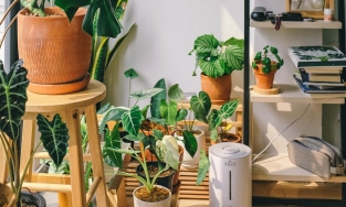 6 cách giúp làm mát ngôi nhà giữa mùa Hè nắng nóng, tiết kiệm đáng kể chi phí điều hòa