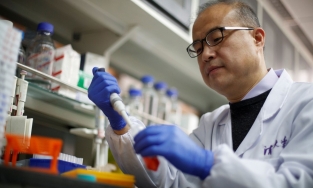 Dùng huyết thanh của 3 người Singapore để điều trị Covid cho Donald Trump