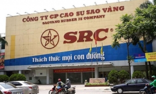 Cao su Sao Vàng bị truy thu và nộp hơn 1,6 tỷ đồng tiền thuế
