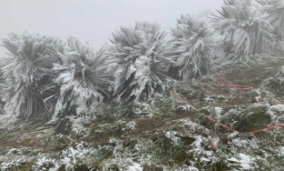 Mẫu Sơn nhiệt độ xuống 3,2 độ C trong ngày đầu đón không khí lạnh