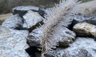 Nhiệt độ giảm sâu, Hà Giang xuất hiện băng giá