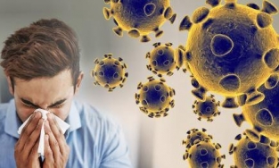 Cách phân biệt bệnh cảm cúm và Covid-19