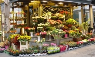 Các cửa hàng hoa Valentine 'sang xịn mịn' ở Hà Nội và Sài Gòn