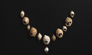 120.000 năm trước con người đã đeo trang sức gì?