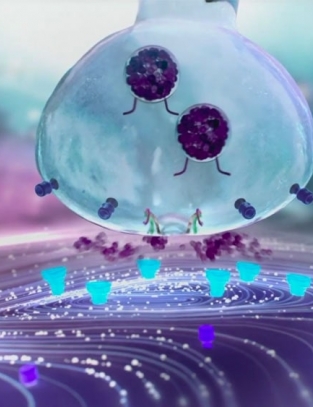 TINH CHẤT TRƯỜNG “XINH” BẤT LÃO MUNAPSYS – BÍ QUYẾT TRẺ HOÁ THẦN KỲ