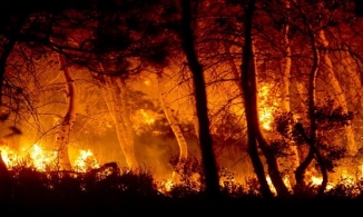 Những đám cháy bùng nổ là lời cảnh tỉnh con người về biến đổi khí hậu