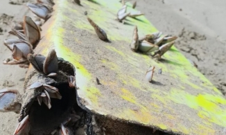 Ngư dân tìm thấy mảnh vỡ nghi là của máy bay MH370 mất tích 6 năm trước