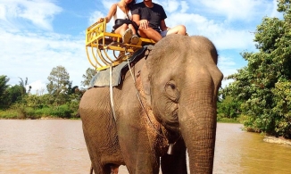Đắk Lắk sẽ bỏ dịch vụ cưỡi voi để tránh bóc lột động vật