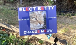 Các ứng viên chó mèo cạnh tranh khốc liệt để giành chức 'Chủ tịch khu phố'