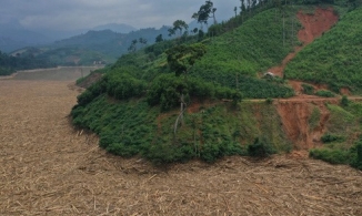 Hồ thủy điện Đăk Mi 4 xuất hiện hàng ngàn mét khối gỗ phủ kín mặt nước