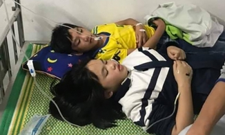 Nghệ An: 16 học sinh bị ong rừng tấn công ngay trong sân trường