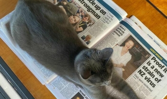 50 khoảnh khắc các vị 'boss' hóa thân thành lũ 'quỷ sứ giặc non' 