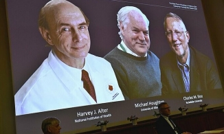 Nobel Y Sinh 2020 vinh danh ba nhà khoa học phát hiện virus viêm gan C