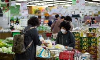 Cánh đồng cải thảo bị tàn phá gây ra cuộc khủng hoảng kim chi ở Hàn Quốc