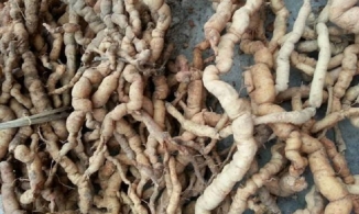 Vụ U40 cương dương 30 tiếng: Chuyên gia khẳng định không thể do ba kích