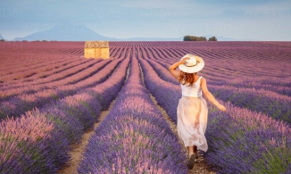 Provence, “tấm bưu thiếp” tuyệt đẹp của miền Nam nước Pháp