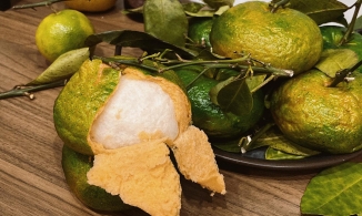 Bánh bao trái cây, trend bánh trái hút hội 'yêu bếp' thử tài khéo léo