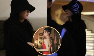 Đẳng cấp Triệu Lệ Dĩnh: Mặc đơn giản, đội mũ che nửa mặt nhưng visual vẫn 'đỉnh của chóp'