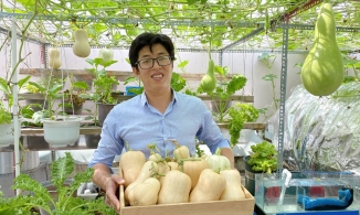 Ông bố 8X biến sân thượng thành mảnh vườn 30m² ngập tràn rau củ, tạo sân chơi lành mạnh cho con