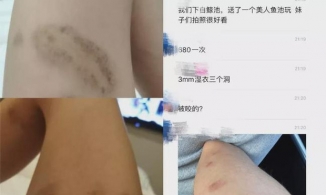 Cá voi, đười ươi bị biến thành nô lệ của con người