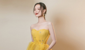 Thời trang thảm đỏ dịu dàng nhưng vẫn nổi bật của Nghê Ni 