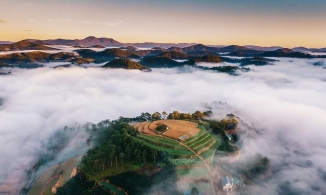 Trại Mát Đà Lạt - chốn dừng chân lấp lánh đầy sắc màu giữa núi rừng Tây Nguyên