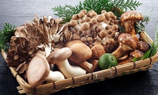 Những lỗi sơ chế nấm khiến món nấm trở nên mất ngon!