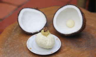 Từng cho không ai lấy, tại sao mộng dừa lại thành đặc sản được săn đón?