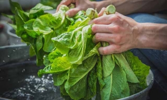 3 mẹo giúp rau héo trở nên tươi ngon hơn để dùng trong trường hợp cần kíp