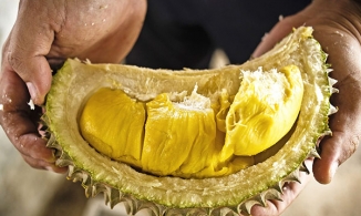 Cách ăn sầu riêng tận dụng cả hạt và vỏ cho tín đồ 'trái cây vua'