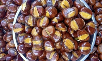 Cách luộc hạt dẻ đảm bảo mềm, bở, ngọt, ngon không kém gì ngoài hàng