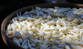 Mẹo sơ chế củ kiệu nhanh chóng, đảm bảo khi chế biến được trắng, giòn và không hăng