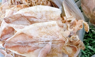 Cách nướng mực khô ngọt, mềm, để lâu cũng không bị cứng, dai chỉ với 1 nguyên liệu