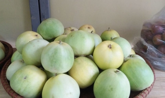 Mẹo chọn mua dưa lê ngon, đảm bảo quả nào cũng đặc ruột, ngọt lịm