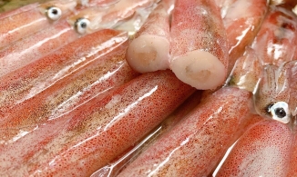 6 mẹo chọn mua mực và bạch tuộc: Đảm bảo chọn 10 con tươi ngon cả 10, lại không ngâm hóa chất