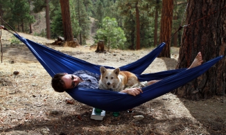 10 lời khuyên của chuyên gia khi đi cắm trại cùng cún cưng