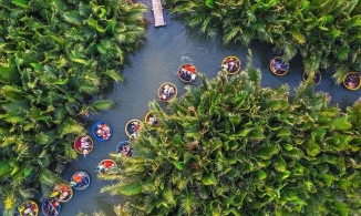 Rừng dừa bảy mẫu Cẩm Thanh, điểm du lịch mới không thể bỏ qua ở Hội An