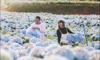 5 địa điểm du lịch trong nước nên ghé cho chuyến đi cuối năm 2020