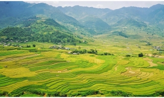 Du lịch cuối năm tại những điểm ngắm lúa chín đẹp mê hồn tại Việt Nam