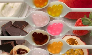 Ẩm thực phân tử - Mang điều kỳ diệu của khoa học vào ẩm thực