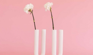 6 bình hoa đặc sắc giúp bạn đem vẻ đẹp thiên nhiên vào trong không gian sống