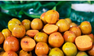 Hà Nội và 5 món quà vặt ăn ngon nhất vào mùa thu, đặc biệt là số 1