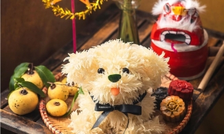 Những thức quà không thể thiếu trong mâm cỗ Trung thu truyền thống