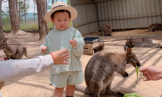 Zoodoo - điểm vui chơi cực phù hợp cho gia đình có trẻ nhỏ khi đến Đà Lạt