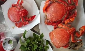 Đến Lý Sơn thưởng thức 5 món ngon quên lối về