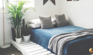 Ngắm không chớp mắt trước 10 thiết kế giường pallet cực chất cho phòng ngủ
