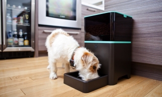 12 thiết bị thông minh giúp cuộc sống của bạn nhàn nhã và chất lượng hơn