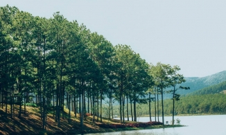 Khám phá các điểm du lịch đẹp ở Đà Lạt chỉ trong chỉ một ngày